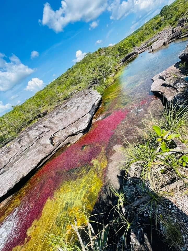 Publicacion de Cano Cristales